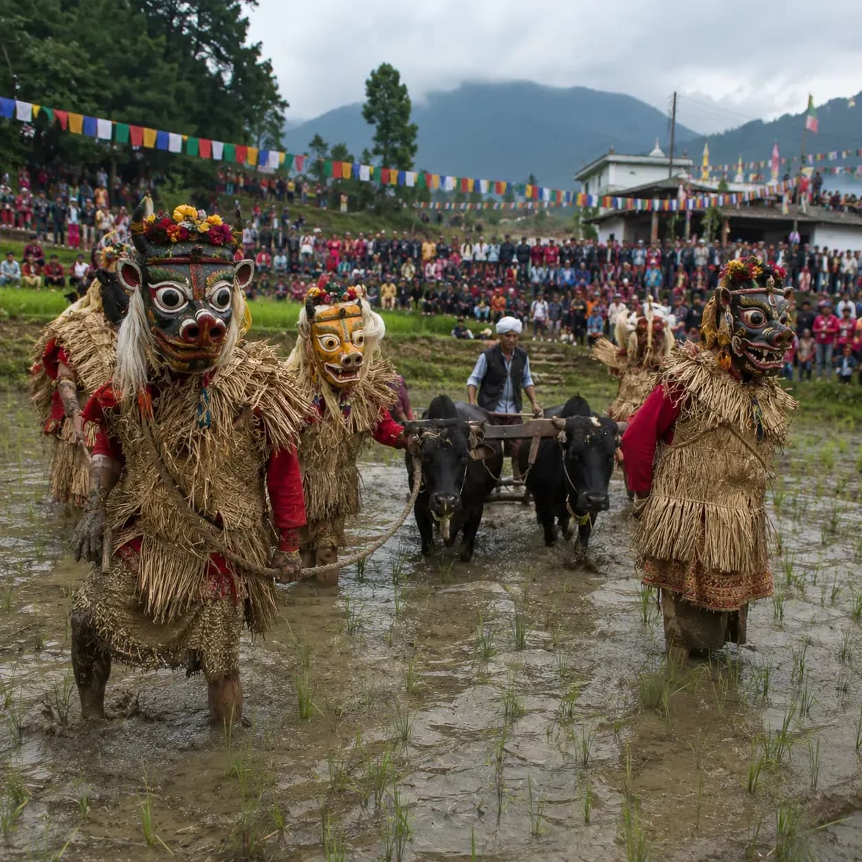 Hilljatra